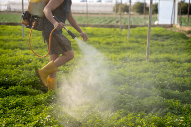 Best Mosquito Control Services  in Point Pleasant Beach, NJ